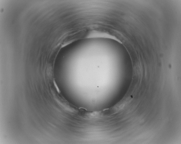 X0000070880092200607071958