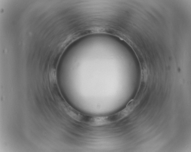 X0000070880093200607071958