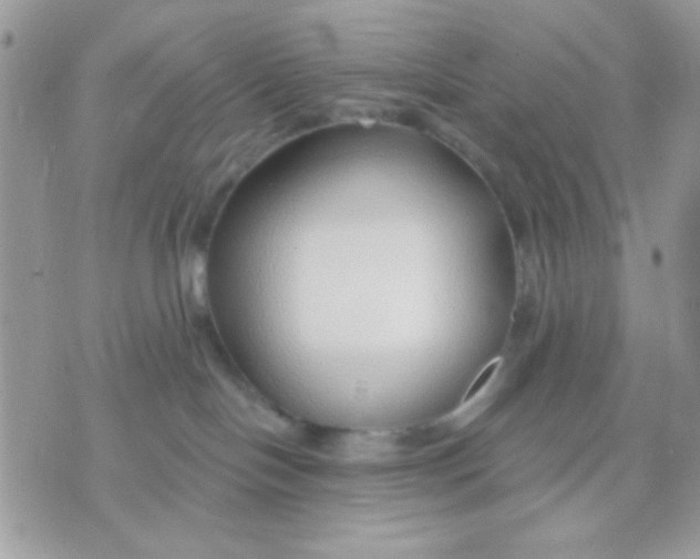 X0000070880094200607071958