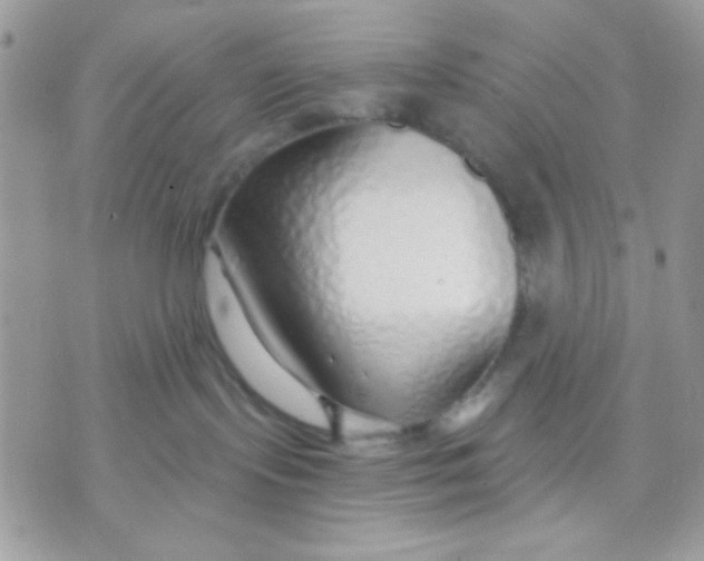 X0000070880095200607071958