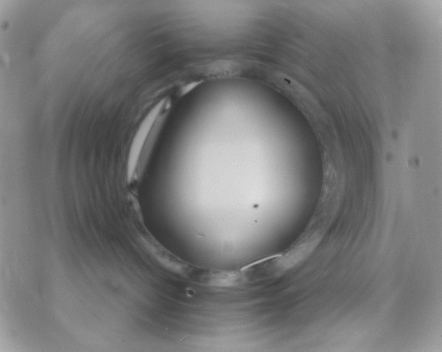 X0000070880096200607071959