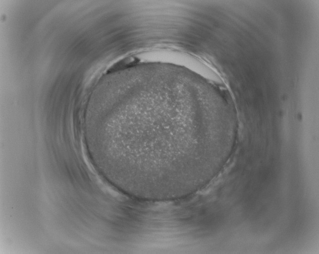 X0000070880097200607071958