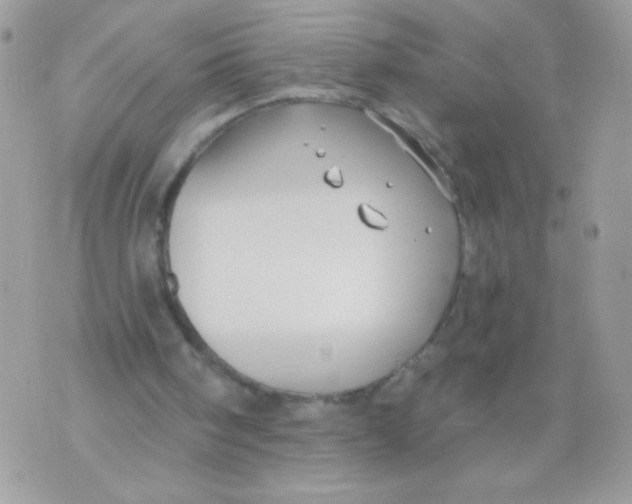 X0000070880098200607071958