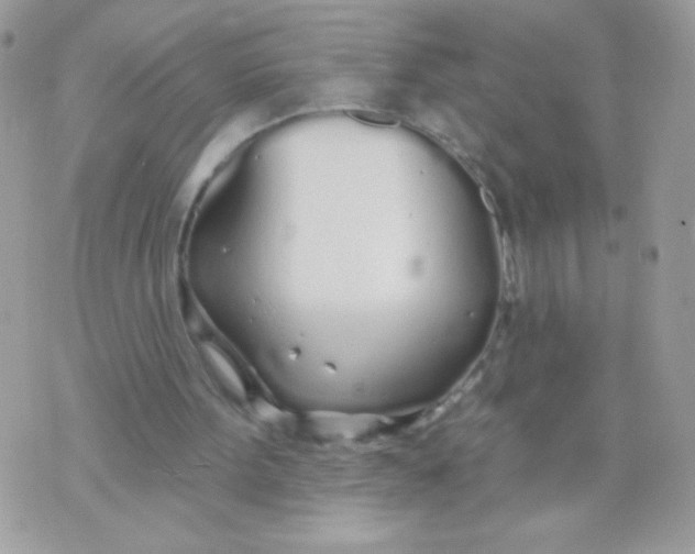 X0000070880099200607071958