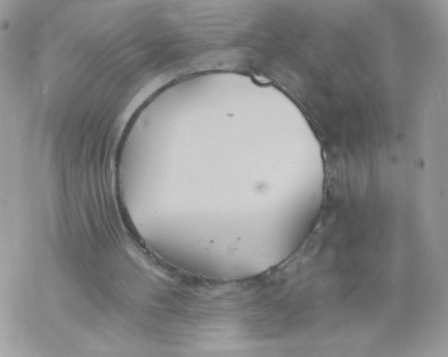 X0000070880100200607071958