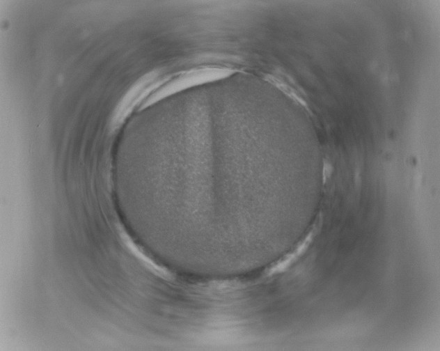 X0000070880101200607071958