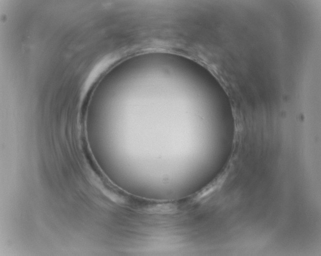 X0000070880102200607071958