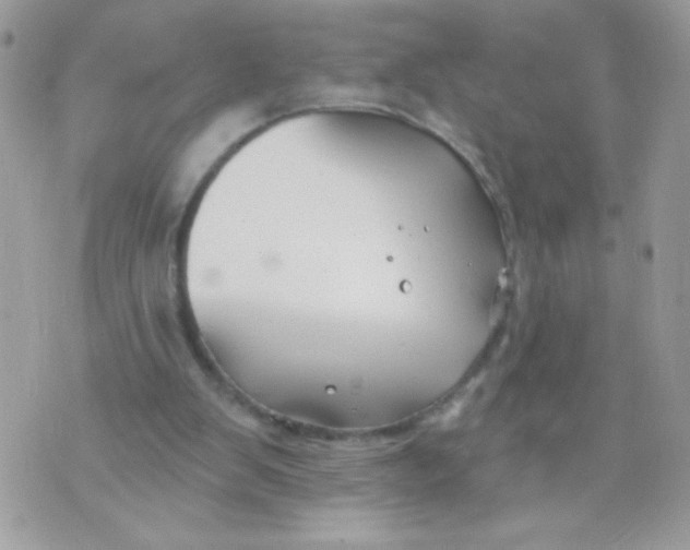 X0000070880103200607071958