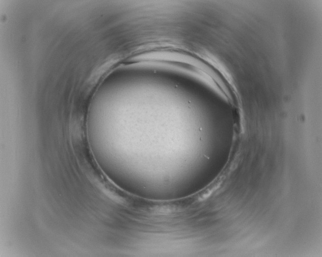 X0000070880105200607071958