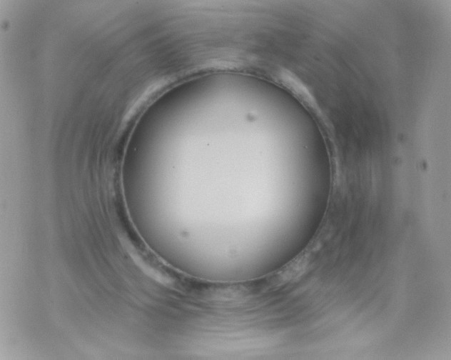 X0000070880106200607071958