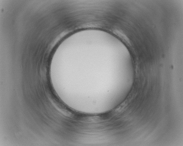 X0000070880108200607071958