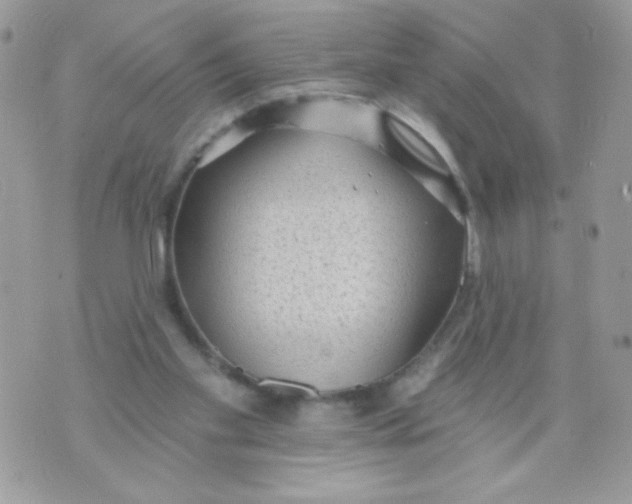 X0000070880109200607071958