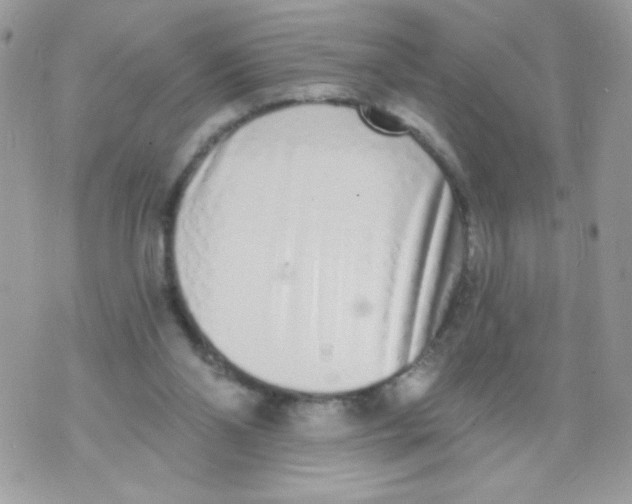 X0000070880110200607071958