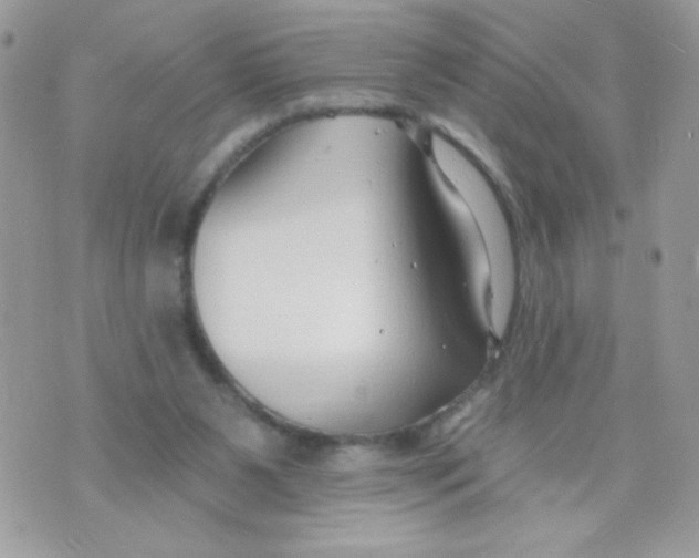 X0000070880111200607071957