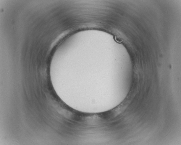 X0000070880112200607071957