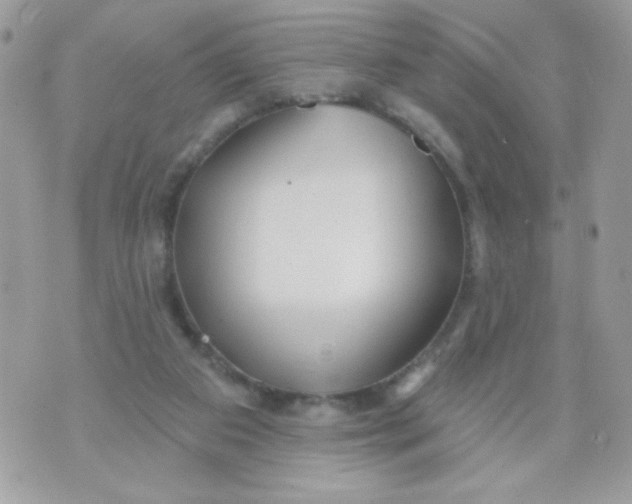 X0000070880113200607071957