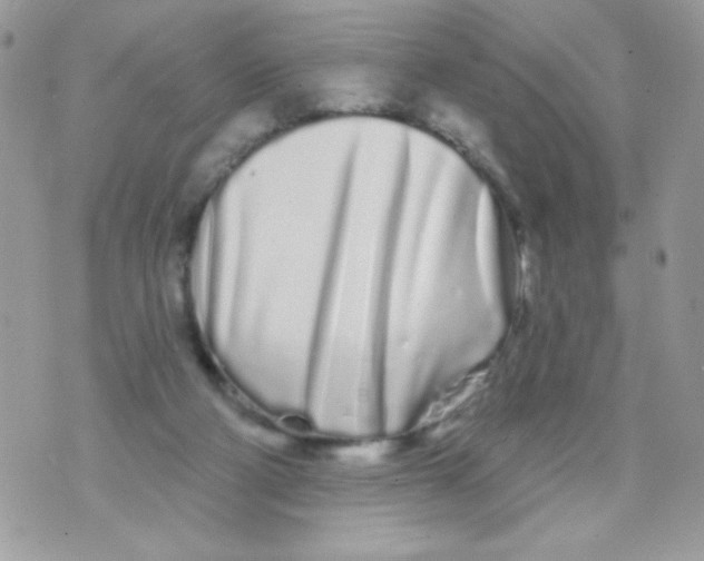 X0000070880114200607071957