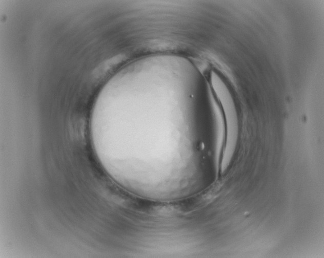 X0000070880115200607071957