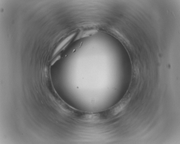 X0000070880117200607071957