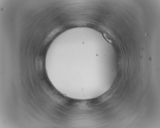 X0000070880120200607071957