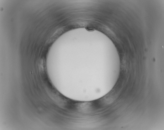 X0000070880122200607071957