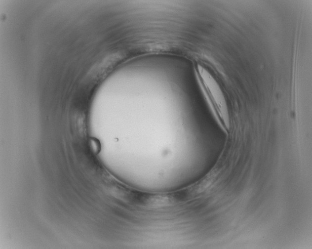 X0000070880123200607071957