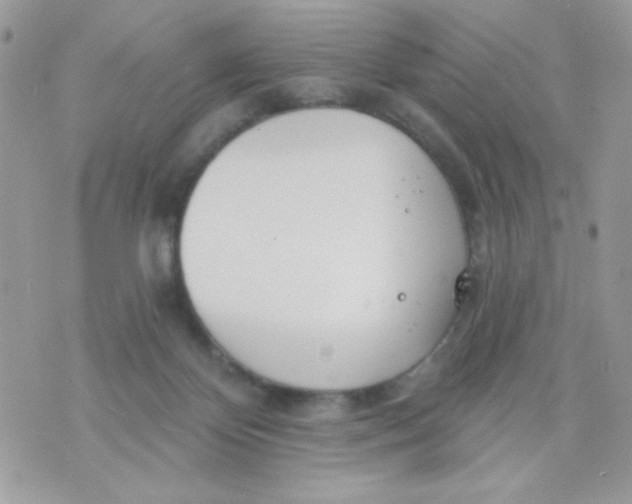 X0000070880124200607071957