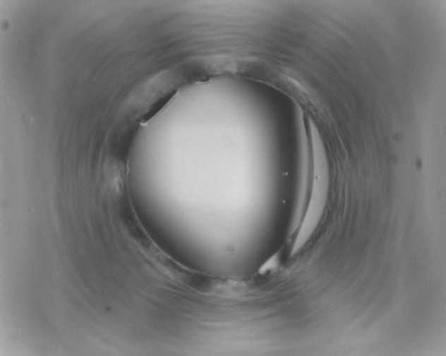 X0000070880125200607071957