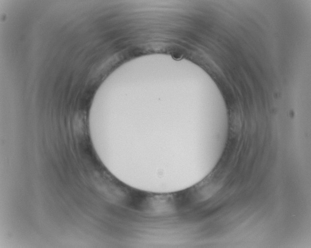 X0000070880126200607071957