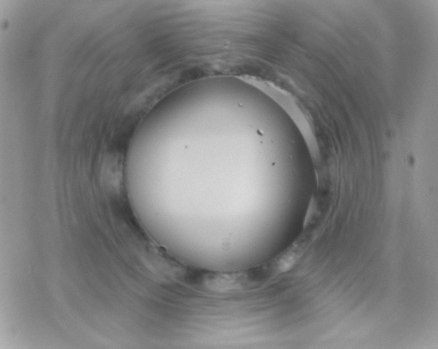 X0000070880129200607071957