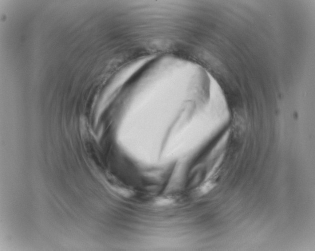 X0000070880130200607071957