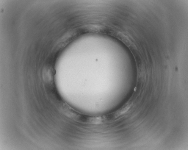 X0000070880131200607071957