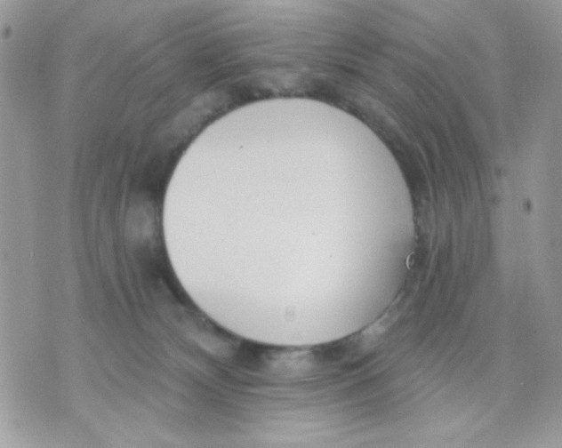 X0000070880132200607071957