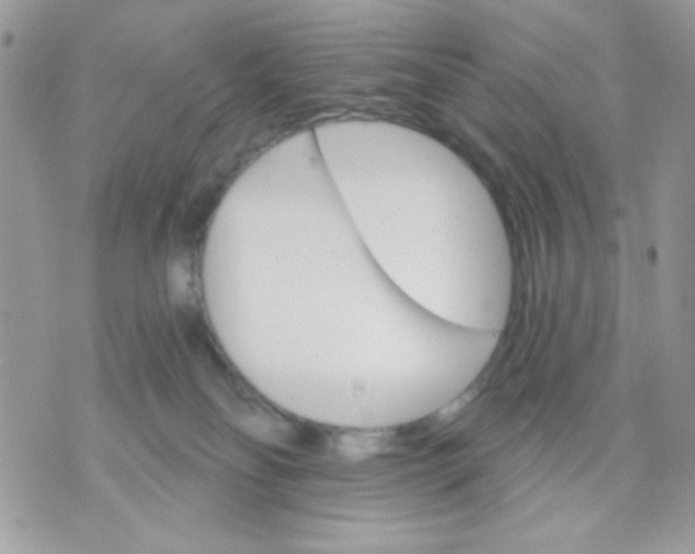 X0000070880134200607071957