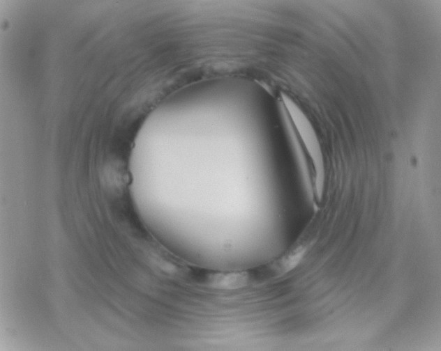 X0000070880135200607071957