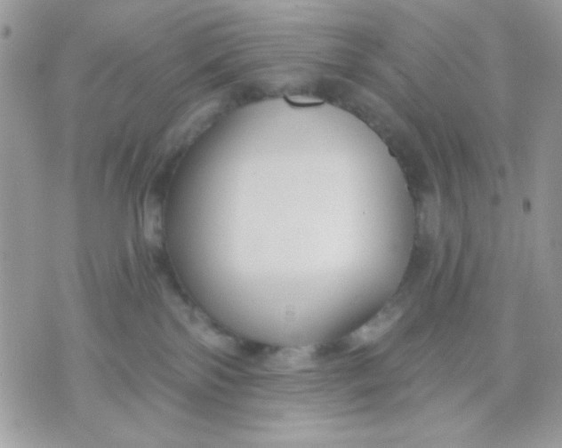 X0000070880138200607071957