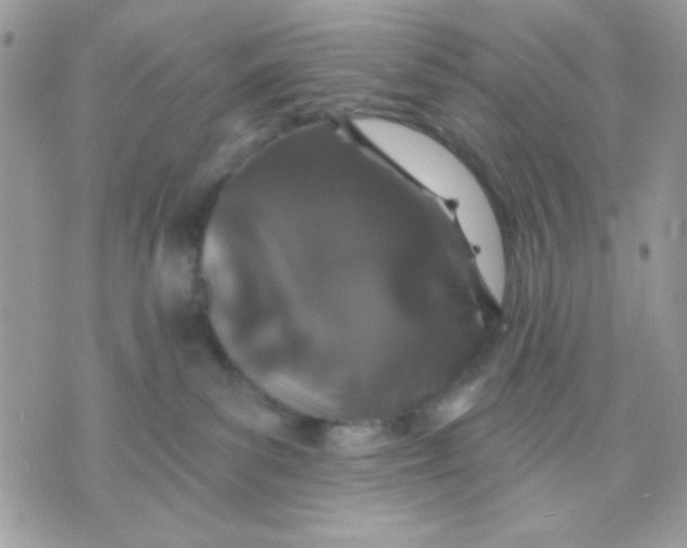 X0000070880139200607071957