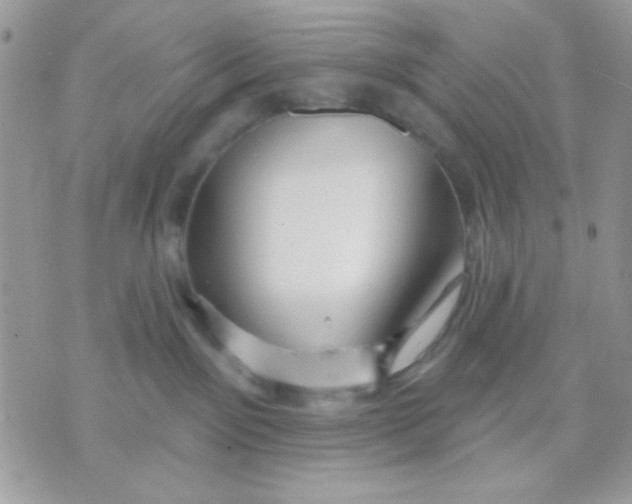 X0000070880141200607071957