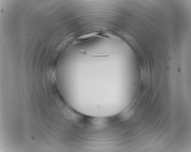 X0000070880142200607071957