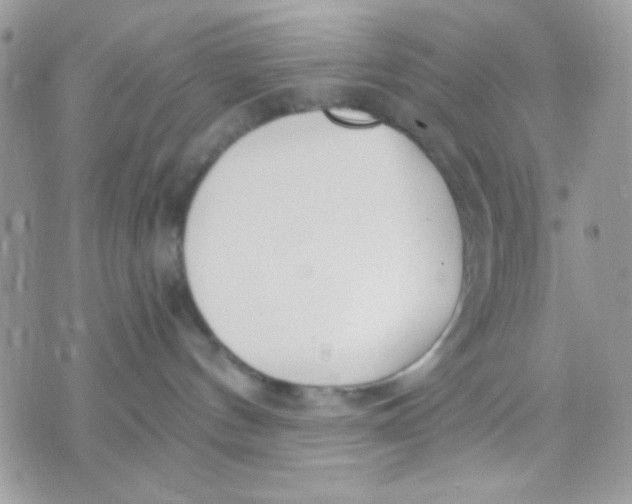 X0000070880144200607071957