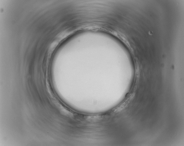 X0000070880145200607071956