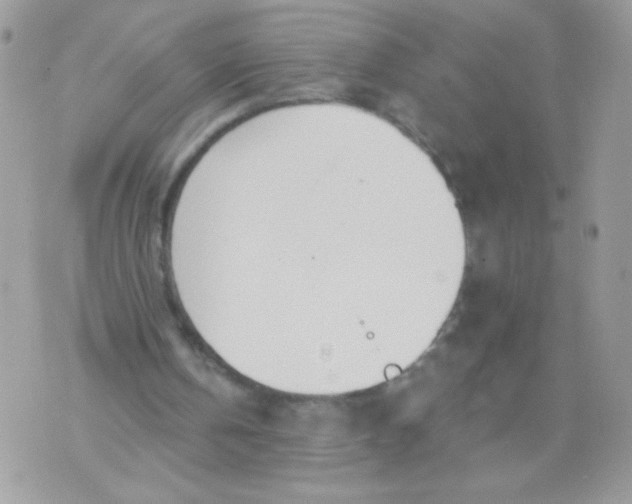 X0000070880146200607071956