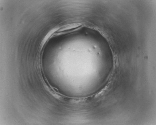 X0000070880147200607071956