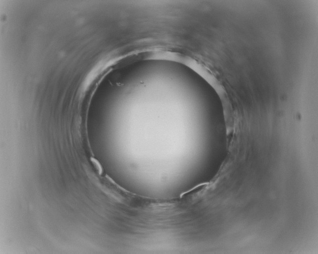 X0000070880150200607071956