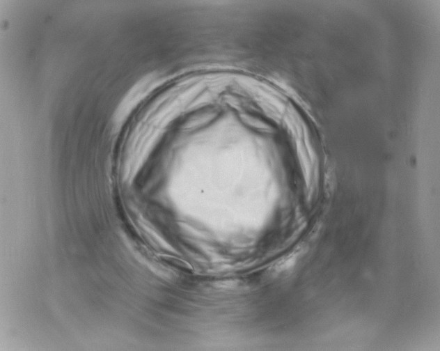 X0000070880151200607071956