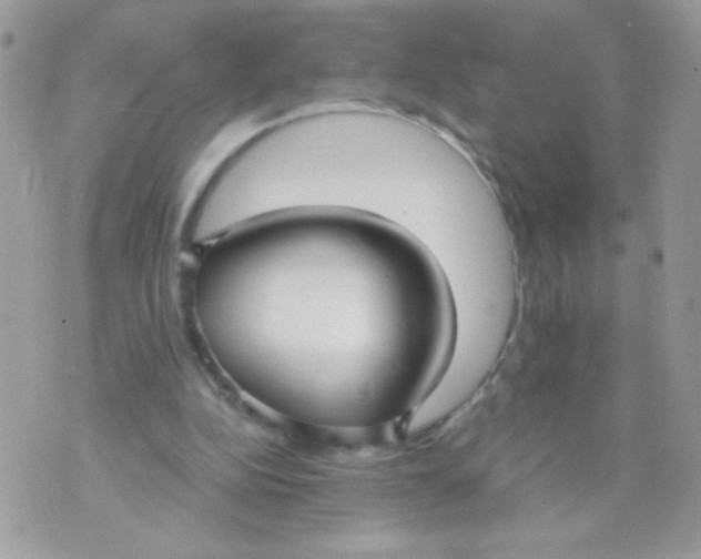 X0000070880152200607071956