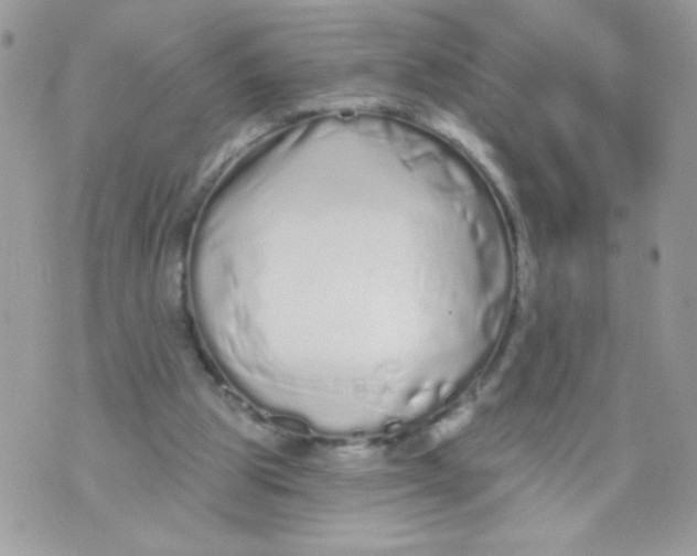 X0000070880153200607071956