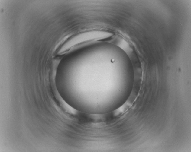 X0000070880154200607071956