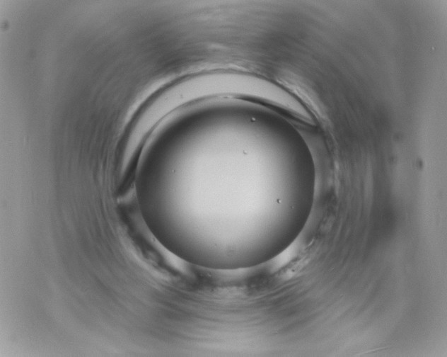 X0000070880156200607071956