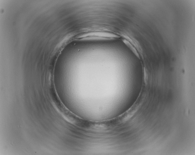 X0000070880157200607071956